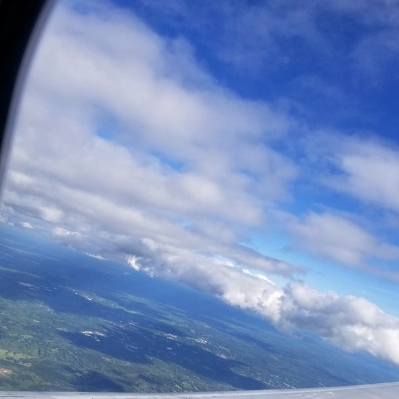 Meet your Posher, Cecelia - Picture 1 of 1